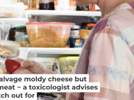 Molds on foods produce a range of microbial toxins and biochemical byproducts that can be harmful. JulieAlexK/iStock via Getty Images